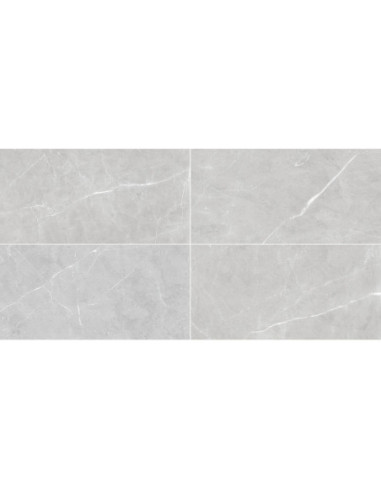 Soberano Grey 60 X 120